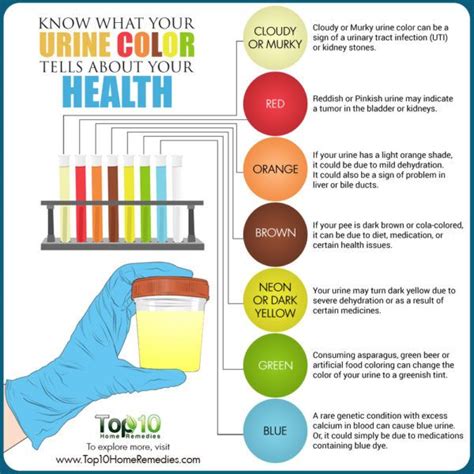 What does it mean if your urine changes color – The Meaning Of Color