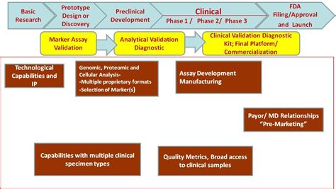 Drug Development Process Flowchart