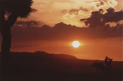 The Paris Review - How to Look at a Desert Sunset - The Paris Review