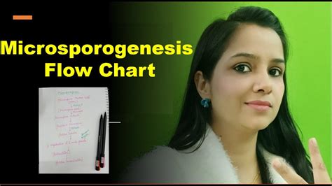 Microsporogenesis | Microsporogenesis Flow Chart | Anther | Shorts - YouTube