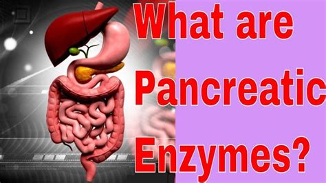 What are Pancreatic Enzymes | Pancreatic, Enzymes, Digestion process