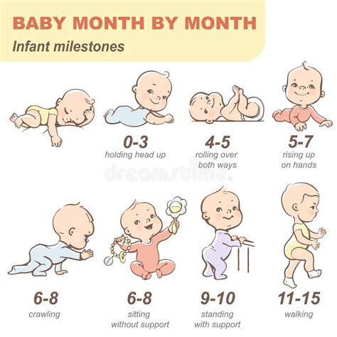 Baby Growth Development Stock Illustrations – 2,864 Baby Growth ...