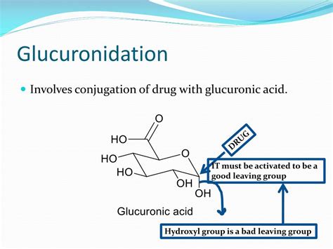 PPT - Phase-II Drug Metabolism PowerPoint Presentation, free download ...