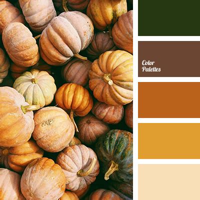 pumpkin color shades | Color Palette Ideas