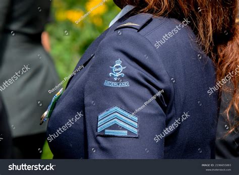 24 Royal Airforce Logo Images, Stock Photos & Vectors | Shutterstock