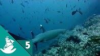 New Atlantis Full Documentaries - YouTube