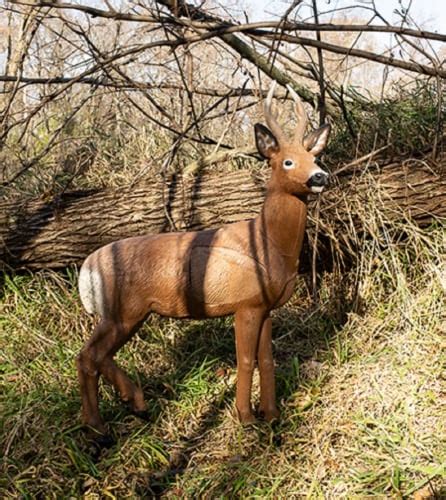 NEW Rinehart Targets 3D Roe Deer Archery Target - UNIV, 1 - Kroger