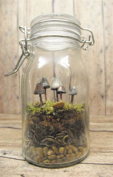 The Fungus Amoung Us... Terrarium Kit With Miniature Glow in the Dark ...