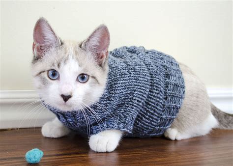 Easy Cat Sweater Knitting Pattern Free Web 49 Free Knit & Crochet Cat ...