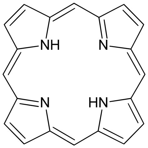 Porphyrin - Wikipedia