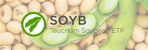 How To Hedge Grain Inflation: Teucrium Soybean ETF (NYSEARCA:SOYB) | Seeking Alpha