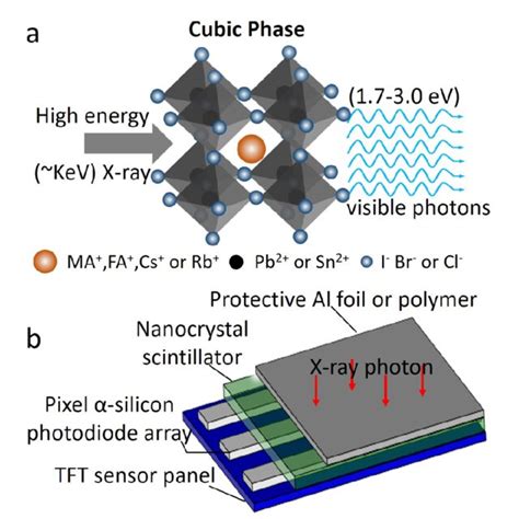 The x-ray scintillation process in an organic perovskite scintillator.... | Download Scientific ...