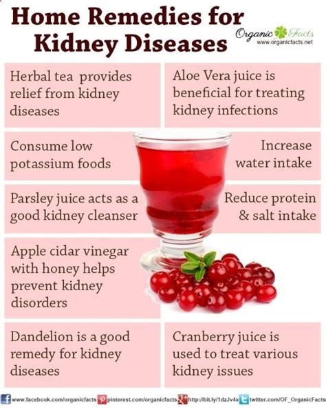 Some of the home remedies for kidney disease include reducing the ...