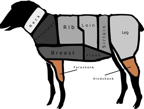 On the Lamb: A Chart of the Major Cuts From Leg to Loin