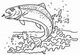 Beautiful Trout Coloring Pages For Kids  sketch template