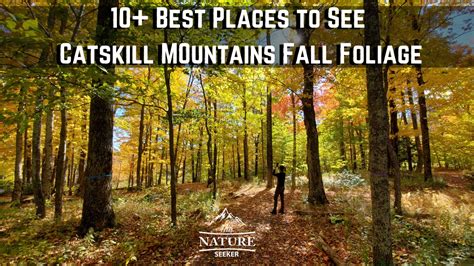 13 Best Places to Catch Catskills Fall Foliage in 2023