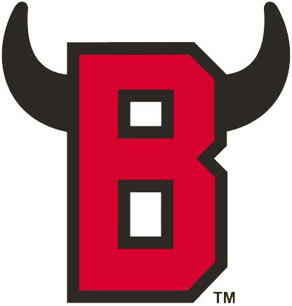 Belleville Bulls Alternate Logo - Ontario Hockey League (OHL) - Chris Creamer's Sports Logos ...