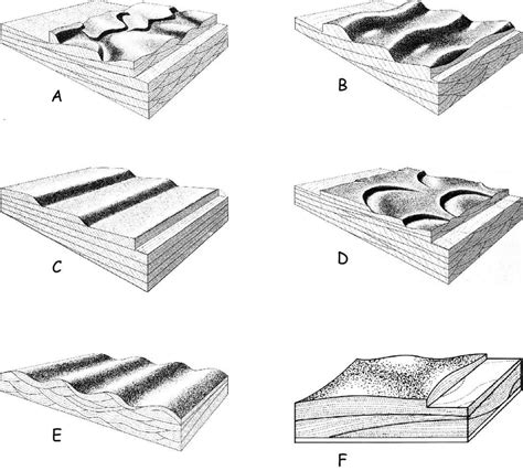 2. Schematics of crossbed types and their dune bedding in longitudinal ...