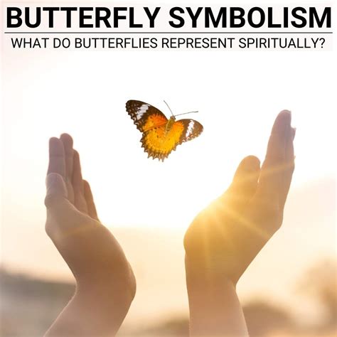 11 Butterfly Symbolism Ideas Butterfly Symbolism Butt - vrogue.co