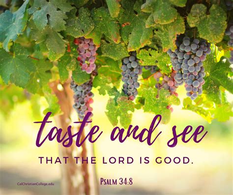 Taste and see that the Lord is good. Psalm 34:8 | The lord is good ...