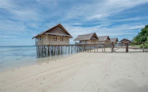 Papua Paradise Eco Resort - The Resort