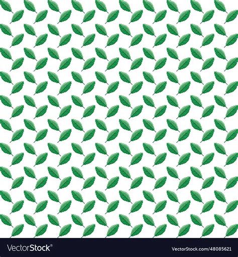 Cartoon green leaves on white background Vector Image