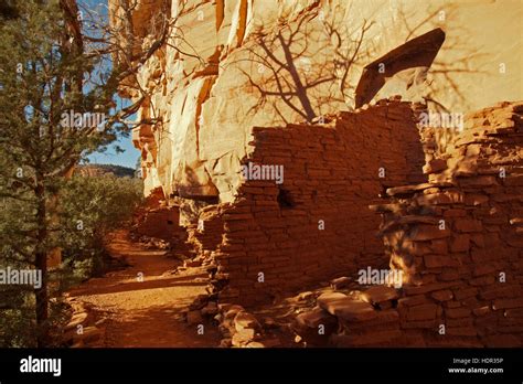 Ancient Honanki Indian ruins cliff dwellers with tree shadows providing shade for these ...