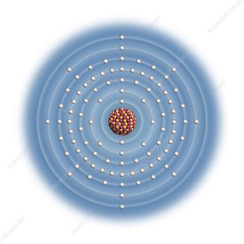 Plutonium, atomic structure - Stock Image - C023/2614 - Science Photo Library