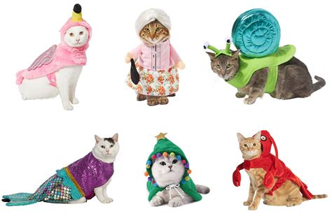 25 Halloween Costumes for Cats