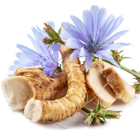 Shop Chicory Root | Get Delivery Straight To Your Door