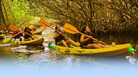 Bioluminescent Kayaking Puerto Rico Tour | Fajardo's Bio Bay