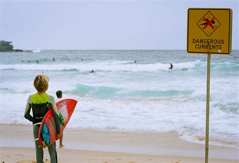 The greatest danger at the beach - Curious