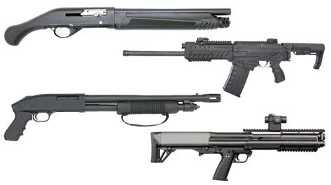 5 Great Types of Shotgun for Personal Defense - Guns in the News