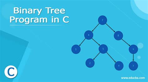 Binary Tree Program in C | Types of Binary Tree with Examples