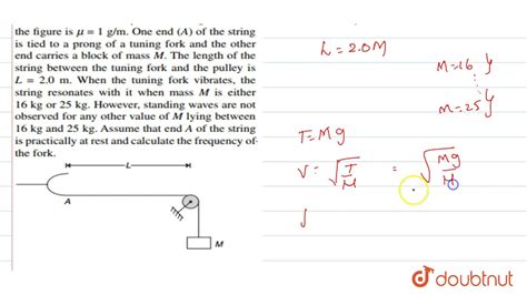 Linear mass density formula - SeetaDenholm