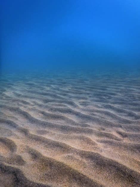 Premium Photo | Underwater marine life, sandy sea bottom, underwater ...