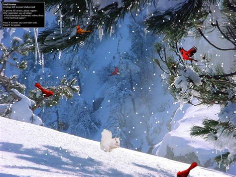 Winter Screensavers And Wallpapers - Wallpaper Cave