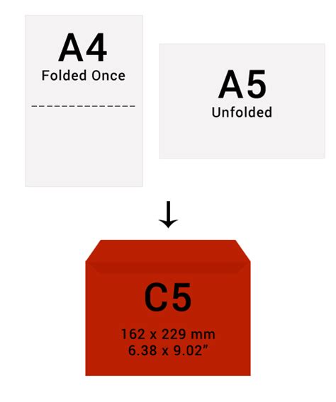 Envelope Size Guide - Envelopes Sizes - Standard Envelope Sizes C5 Envelope, All The Colors, Bar ...