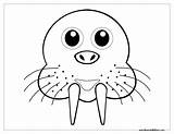 Walrus Coloring Pages For Kids sketch template