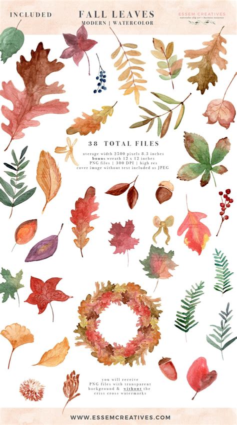 Watercolor Fall Leaves Clipart Autumn Leaves Clip Art - Etsy