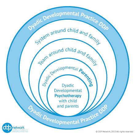 Trauma, Attachment & DDP Training for Foster Carers