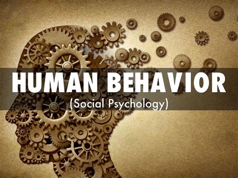 Psychologists 7 Points About Human Behavior