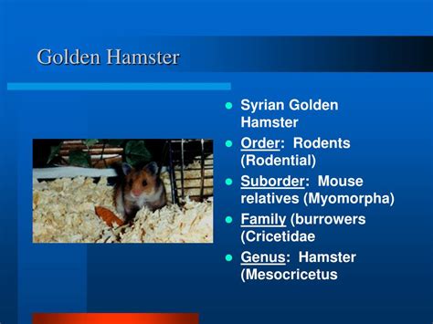 PPT - Nurturing Vs Nature For Biology - Distance Learning Class ...