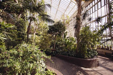 Exploring Barbican Conservatory – tea was here