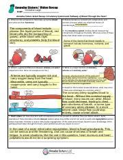 SELECT Recap of Circulatory System by Amoeba Sisters.pdf - Christine ...