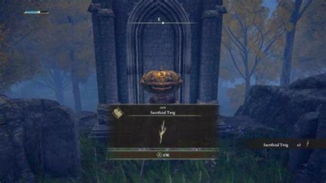 Where to find Sacrificial Twigs in Elden Ring – and what they do - Gamepur