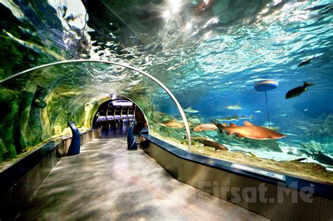 World's Largest Thematic Aquarium Florya 'Istanbul Aquarium' Entrance Ticket (Valid Including ...