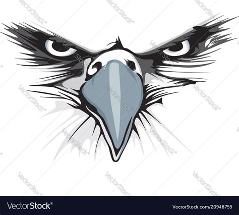 Eagle eye Royalty Free Vector Image - VectorStock