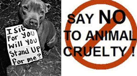 Petition · Change the New Brunswick Animal Rights Laws Regarding Animal ...