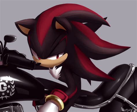 Shadow The Hedgehog With Motorcycle